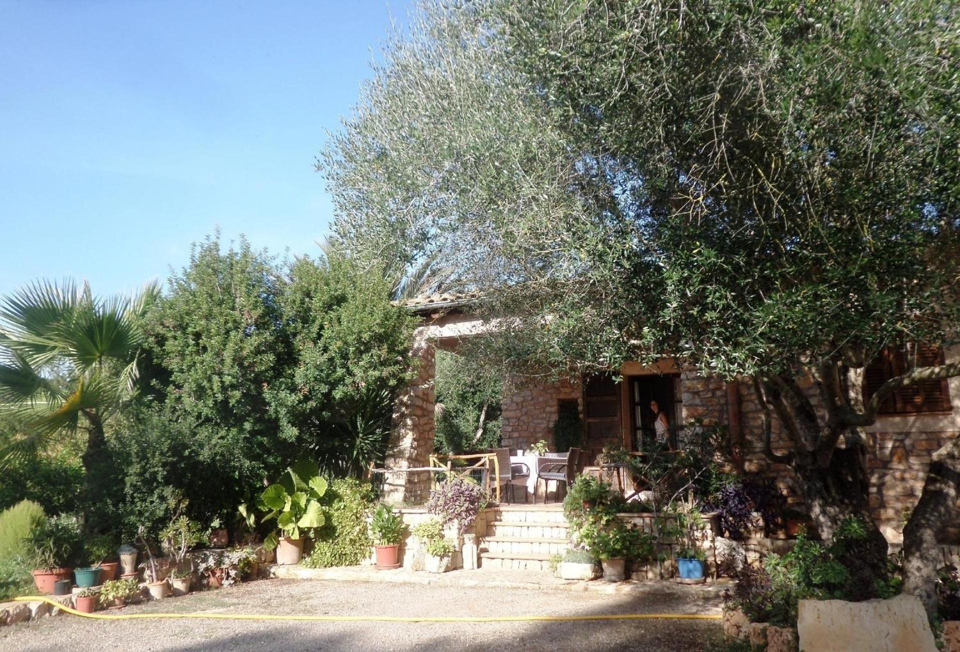 Casa Alba -